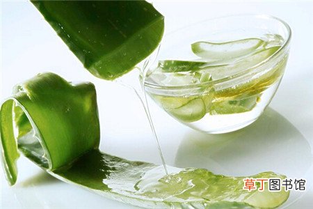 芦荟胶的功效与作用有哪些-芦荟胶的功效与作用介绍