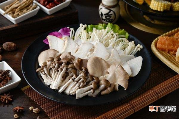 提高免疫力吃什么食物最好-增强免疫力食物推荐