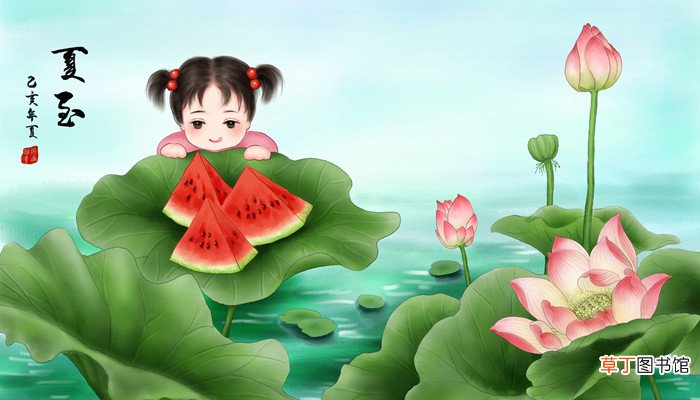 夏至要吃什么