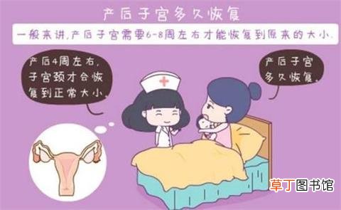 产后恢复肚子最佳时间-产后什么时候恢复肚子最好