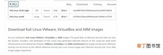 怎么从Kali Linux官网下载原版镜像文件