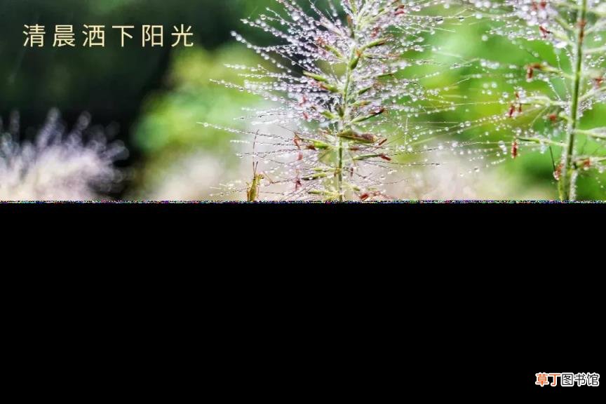 excel画曲线图教程 用excel做一元二次方程曲线