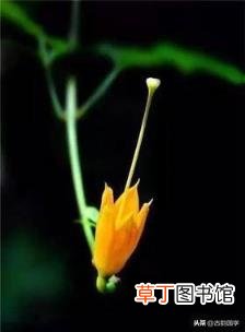生活中的谚语 30句生活谚语