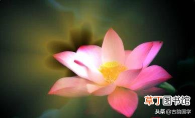生活中的谚语 30句生活谚语