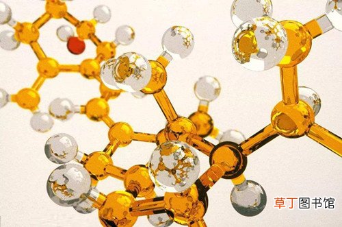 富含维生素d的食物有哪些 哪些食物维生素d含量高