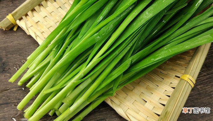 菲菜和韭菜的区别
