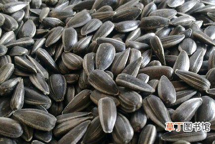 让你折寿的食物让你折寿的饮食习惯