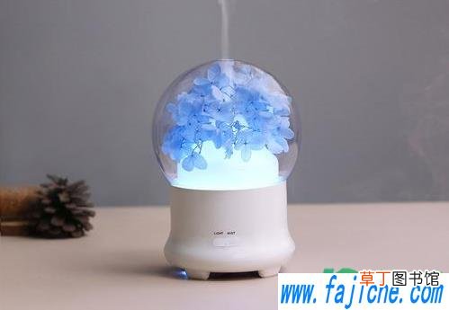 加湿器对着哪里吹好 加湿器是对着自己吹的好还是冲上吹的好