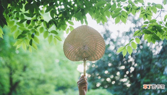 夏至的意义和来历
