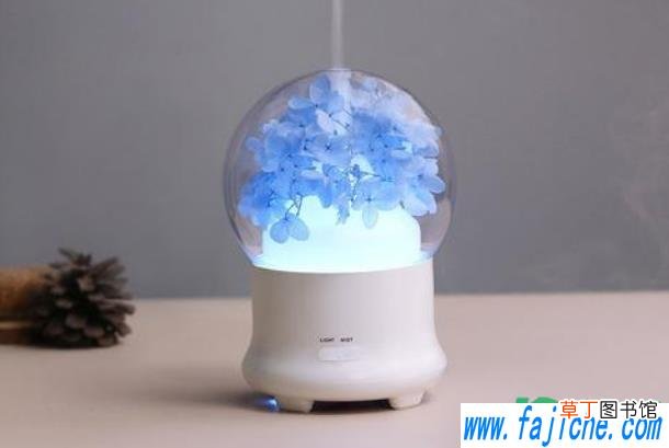 加湿器放在窗户上可以吗 加湿器放在窗户边可以吗