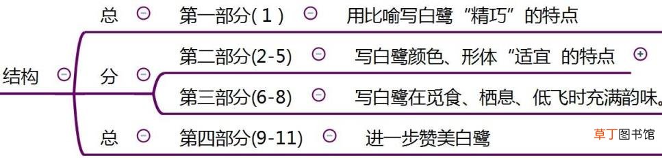 白鹭趣话阅读答案 白鹭课文详解