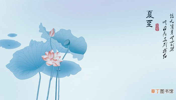 北方夏至吃什么