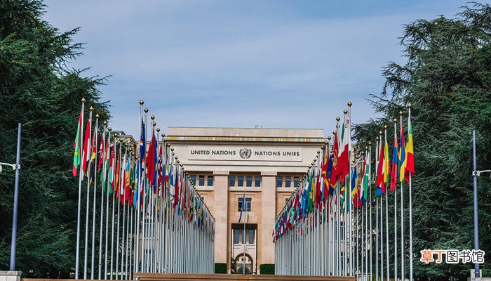 日内瓦为什么是联合国总部