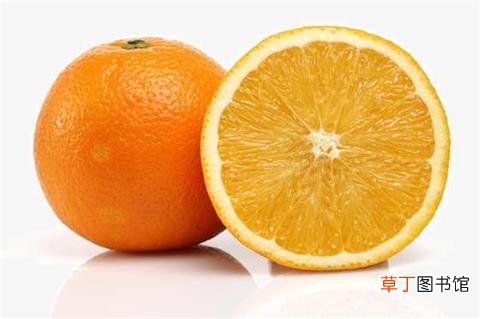 橘子和桔子的区别是什么-橘子和桔子的贡献与作用