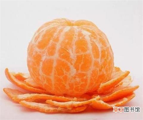 橘子和桔子的区别是什么-橘子和桔子的贡献与作用