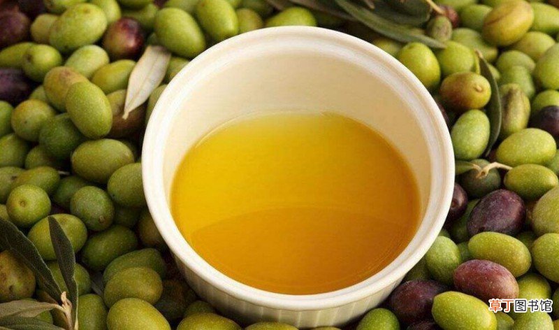 山茶油的功效与作用