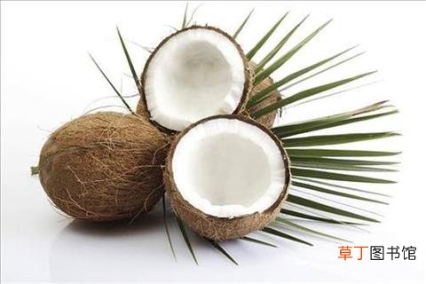 椰子的营养价值与功效-椰子的功效与作用