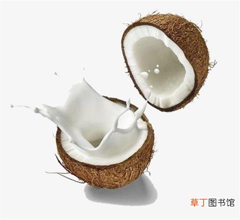 椰子的营养价值与功效-椰子的功效与作用