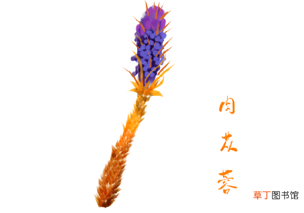 额窦炎症状表现有哪些-额窦炎会引起哪些症状