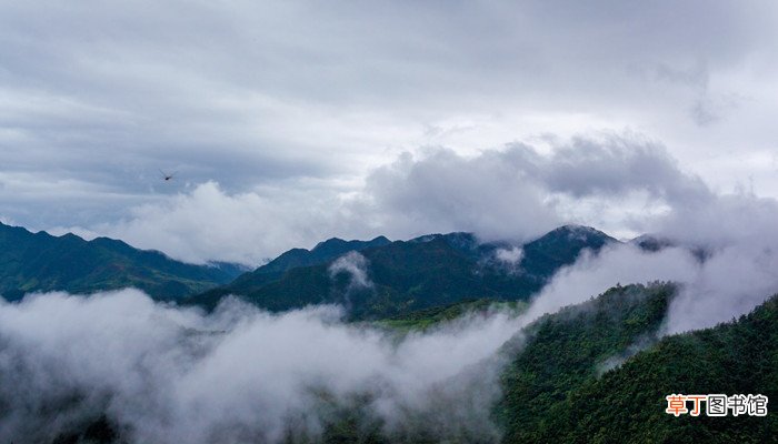 五指山在哪个地方