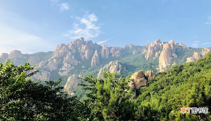 曹县是哪