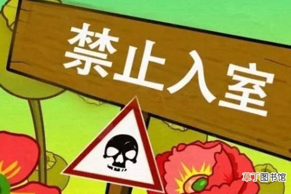 你意想不到的有毒植物