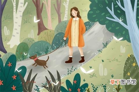 散步的好处-散步有什么用-散步有什么好处吗