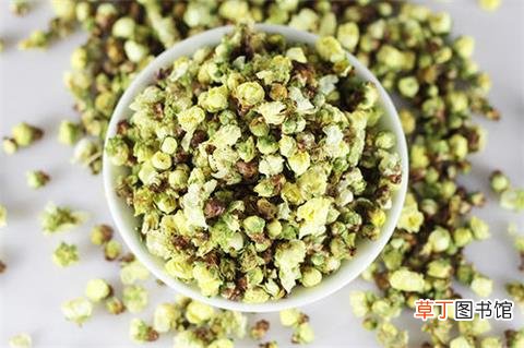 白梅花茶什么人不能喝-白梅花茶的功效与作用