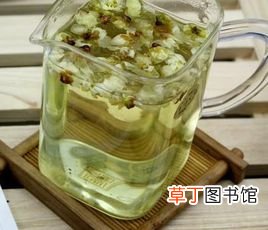 白梅花茶什么人不能喝-白梅花茶的功效与作用