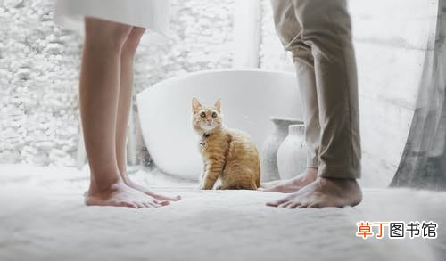老婆出轨怎么处理最好 老婆出轨老公聪明做法