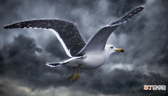 人工降雨原理和条件