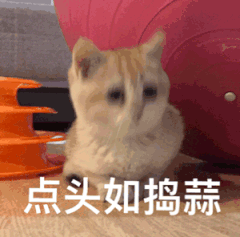 qq如何关闭空间访问权限 qq如何关闭空间
