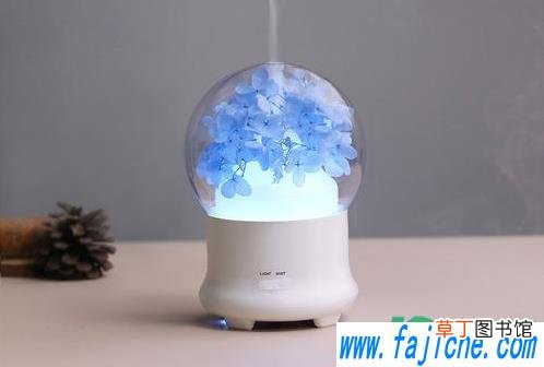 加湿器加水后显示无水怎么回事 加湿器加了水怎么还显示缺水