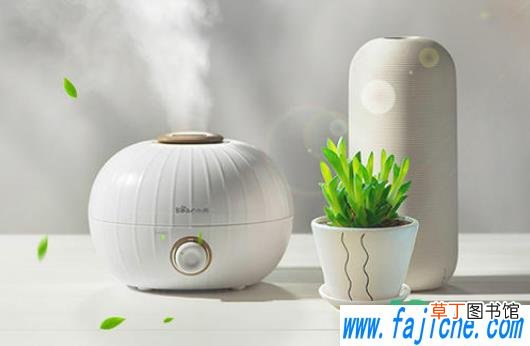 加湿器加开水好不好 加湿器可以加开水吗