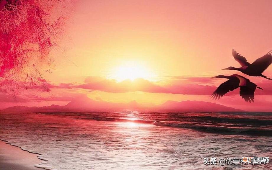 关于旅行的句子唯美 赞美旅行的句子唯美