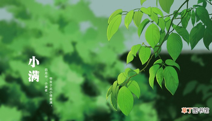 小满节气的特点和风俗
