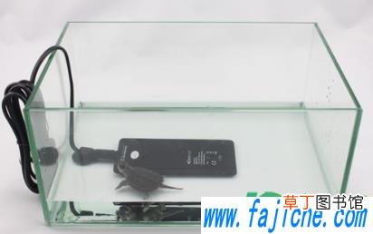 加热棒能不能放在沙子里吗 鱼缸加热棒能放在底部吗
