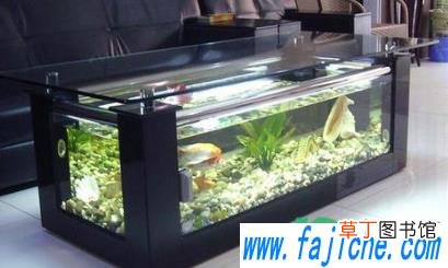 怎样判断鱼缸加热棒是否漏电 鱼缸加热棒漏电对鱼有伤害吗