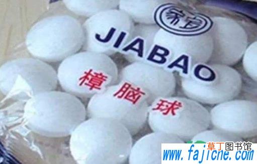 冰箱里樟脑丸味道重怎么办 樟脑丸放在冰箱去异味可以不