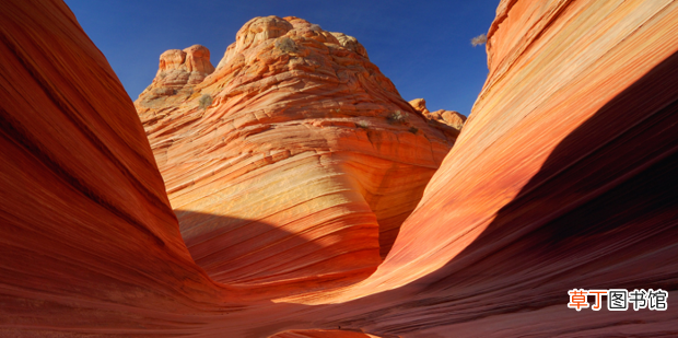 怎么把照片变成一寸