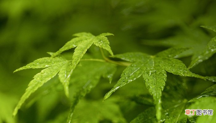 24节气的由来和历史