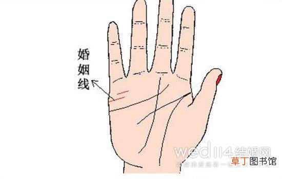 不同的婚姻线代表什么 婚姻线怎么看