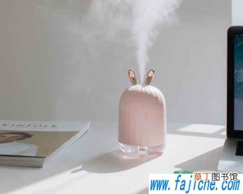 加湿器要放半小时才能用吗 ?加湿器第一次使用为什么要静置半小时