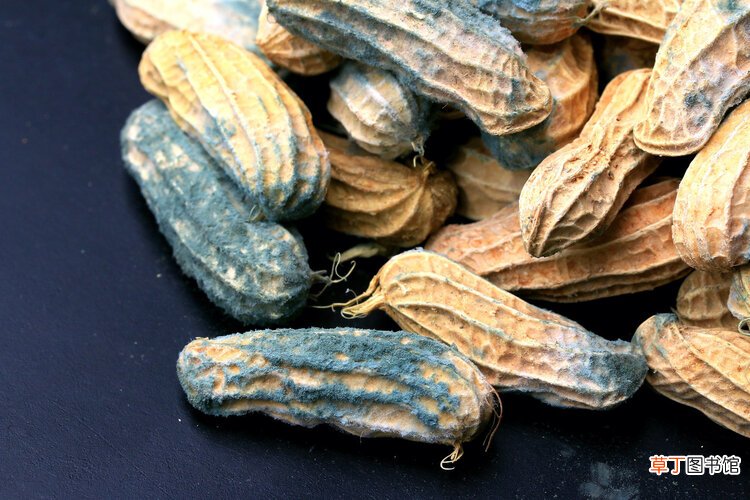 用了2年的木筷有多脏？筷子用久了会致癌？不是吓唬你！