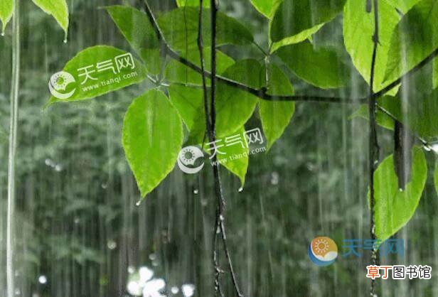 烟花台风路径山东最新消息 台风烟花会影响临沂市吗