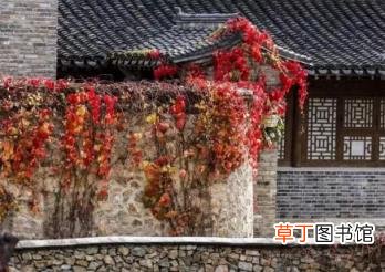 形容喝酒的诗词 描写喝酒的唯美句子