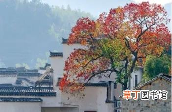 形容喝酒的诗词 描写喝酒的唯美句子