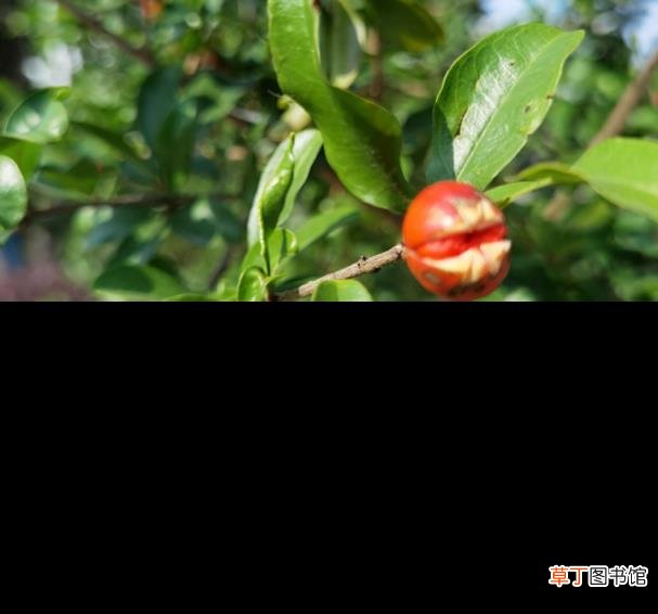赞美5月的诗句大全 形容最美五月天的诗