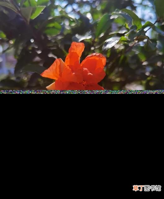 赞美5月的诗句大全 形容最美五月天的诗