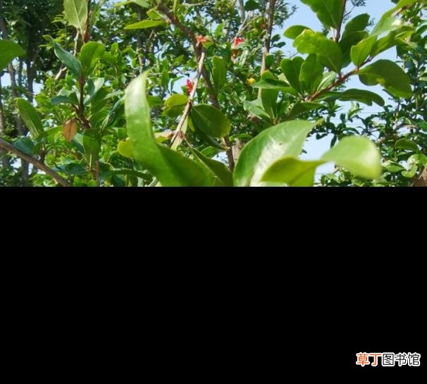 赞美5月的诗句大全 形容最美五月天的诗